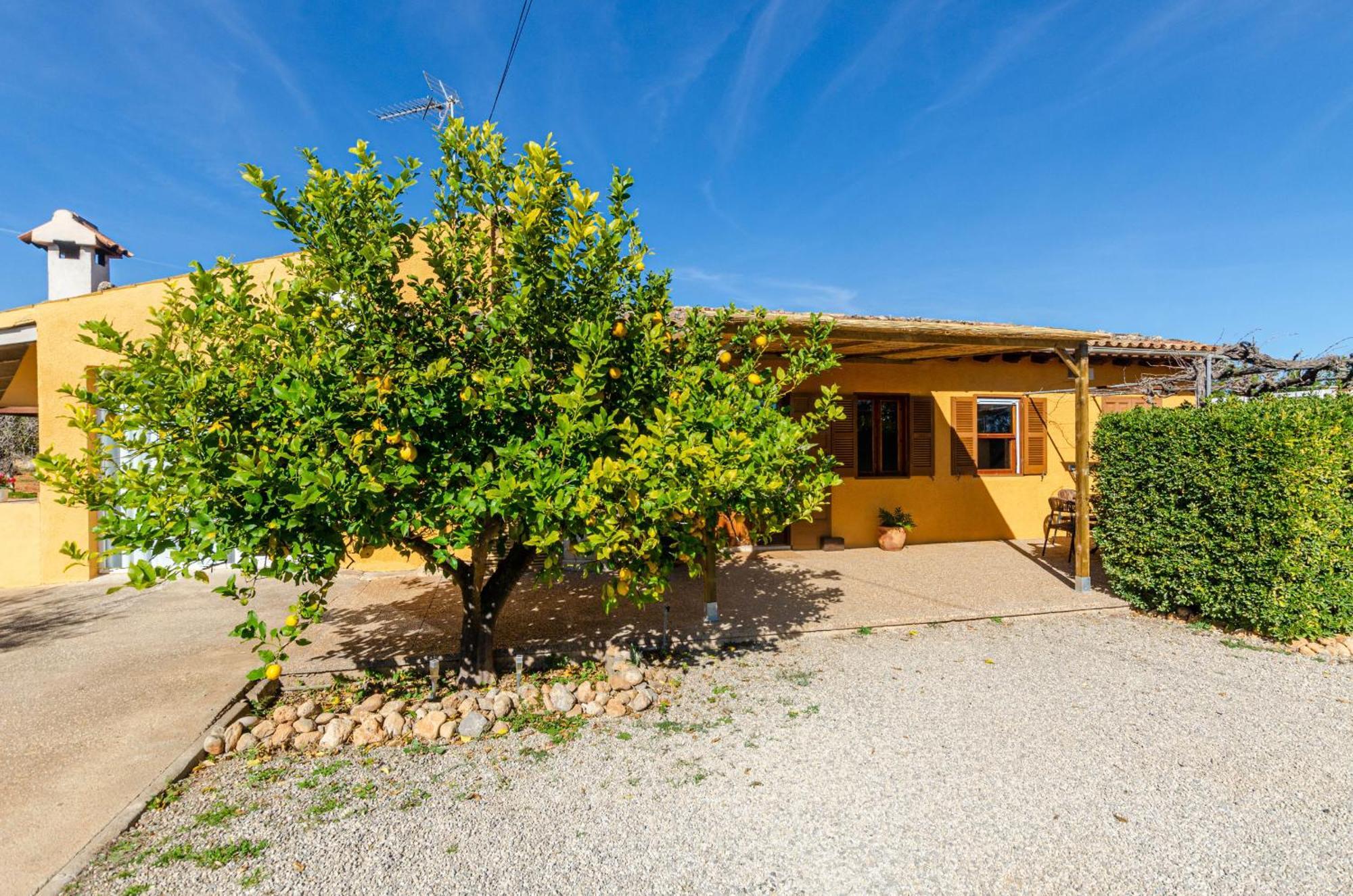 Yourhouse Lemontree Villa Lloseta