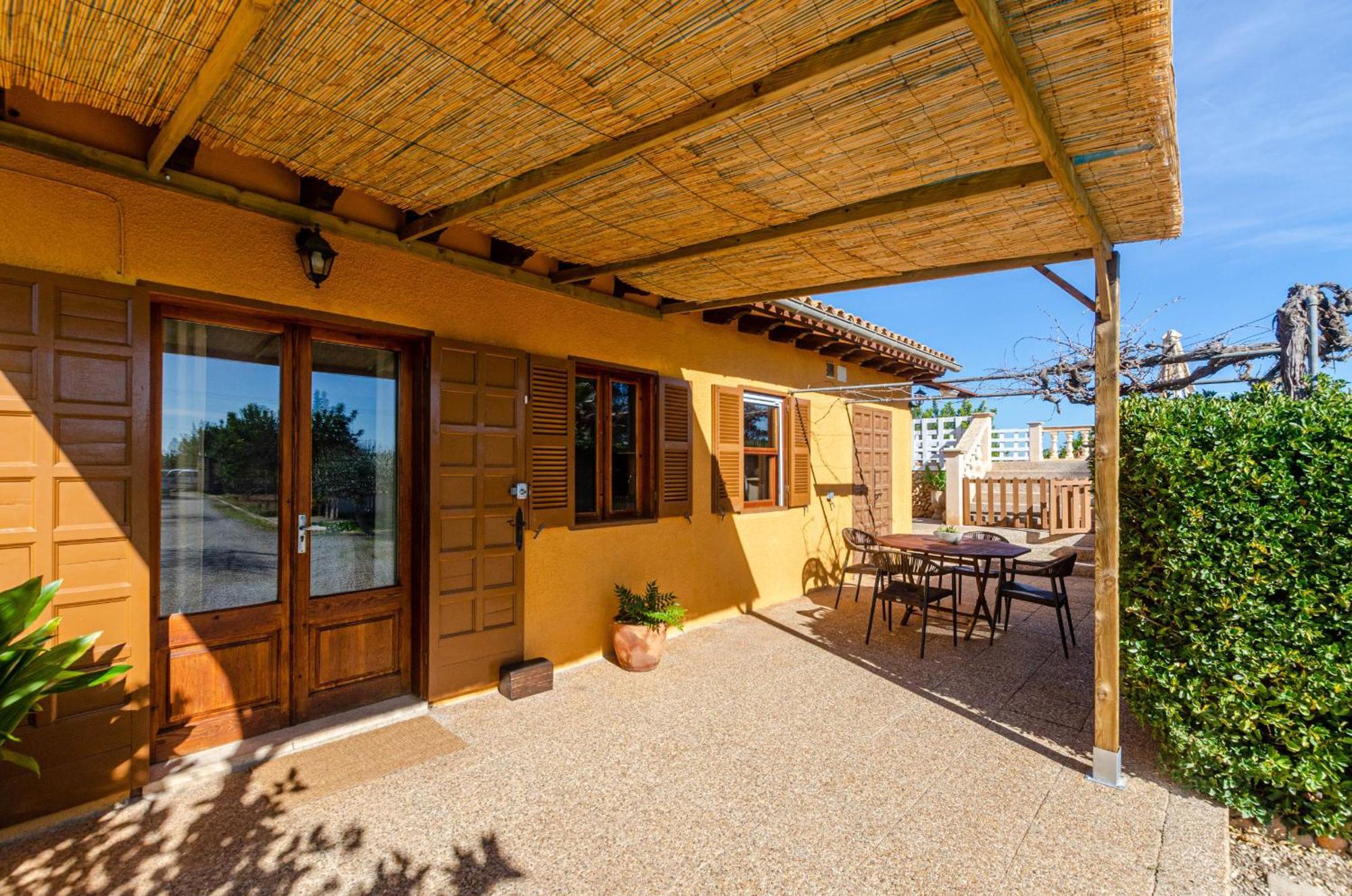 Yourhouse Lemontree *
