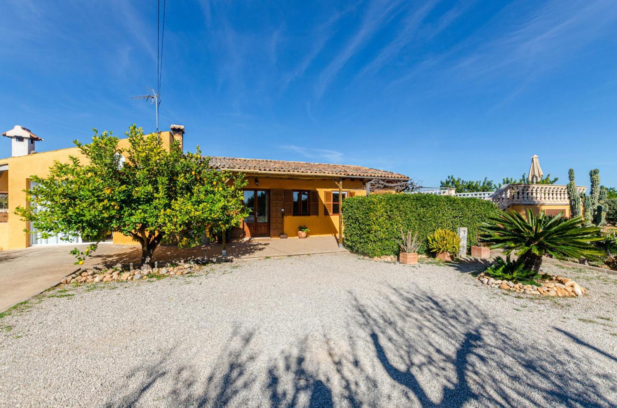 Yourhouse Lemontree * Lloseta